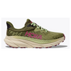 Forest floor / Beet root