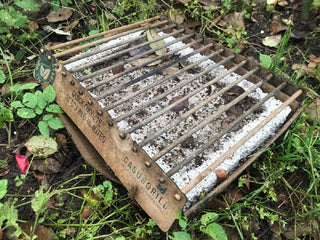 CASUSGRILL - BARBECUE MONOUSO -  La griglia ecologica che dura 60 minuti!