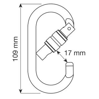 CAMP OVAL PRO LOCK MOSCHETTONE