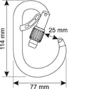 CAMP CORE BELAY LOCK - Moschettone HMS