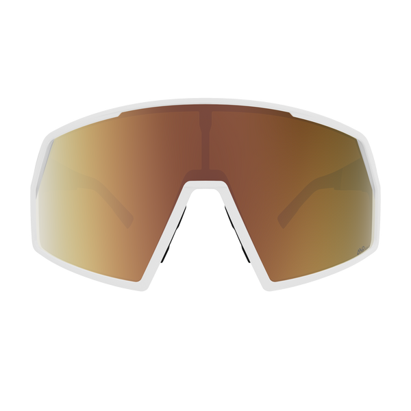 SCOTT PRO SHIELD LS OCCHIALI SPORTIVI CON LENTE FOTOCROMATICA CAT. S1/S3 - DISPONIBILE IN 2 COLORI