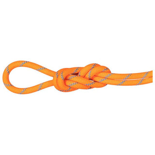 MAMMUT ALPINE SENDER DRY 8.7 CORDA DRY DA ARRAMPICATA/ALPINISMO 70METRI
