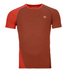 CLAY ORANGE