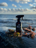 SMELLWELL Odor Eliminator ELIMINA ODORI SPRAY 300ml PER CALZATURE E ATTREZZATURA