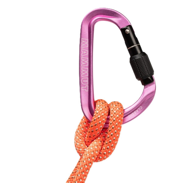 MAMMUT CLASSIC HMS SCREWGATE CARABINER MOSCHETTONE CLASSICO PER L'ASSICURAZIONE - DISPONIBILE IN 2 COLORI