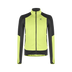 SUNNY LIME