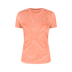 MELON/LIGHT ROSE