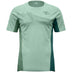 SILT GREEN