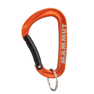 Compra arancio-orange MAMMUT Mini Carabiner Workhorse Keylock S - COLORI VARI