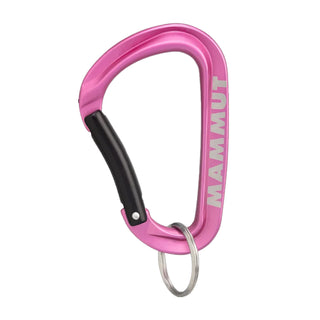 Compra rosa-pink MAMMUT Mini Carabiner Workhorse Keylock L - COLORI VARI