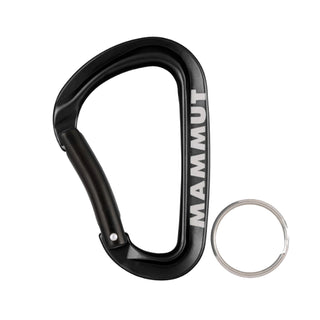 MAMMUT Mini Carabiner Workhorse Keylock S - COLORI VARI